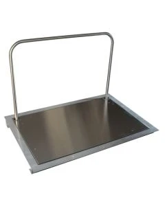 SR Scales SR463ir-3H In-floor platform scale (AC) with handle