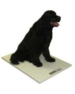 SR Scales SRV945 Mobile Vet Scale, 24" x 36", 400 lb Capacity