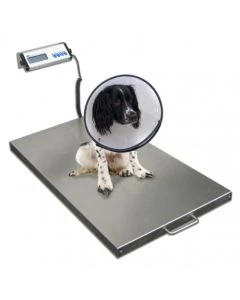 SR Scales SRV942 Large Veterinarian Platform Scale, 22" x 36", 550 lb Capacity