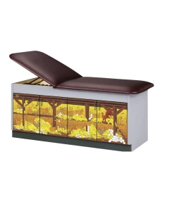 Clinton 7370-72 Pediatric Treatment Table, Wings n Things